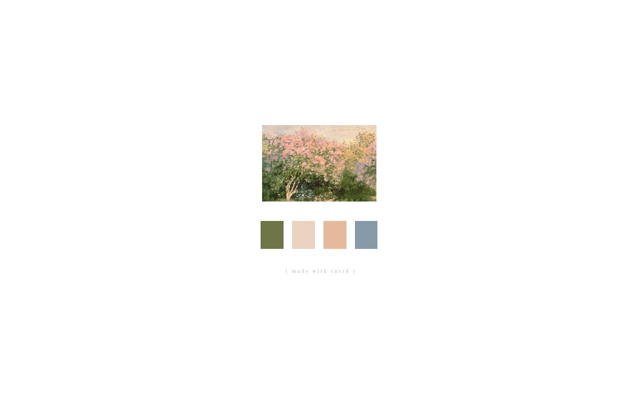 Carrd profile picture for @constellation